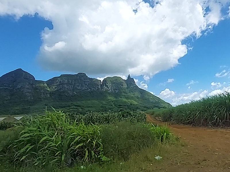 Roads & Nature